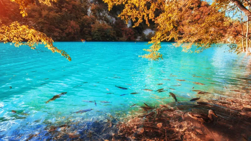 Ölüdeniz Turkuaz Deniz