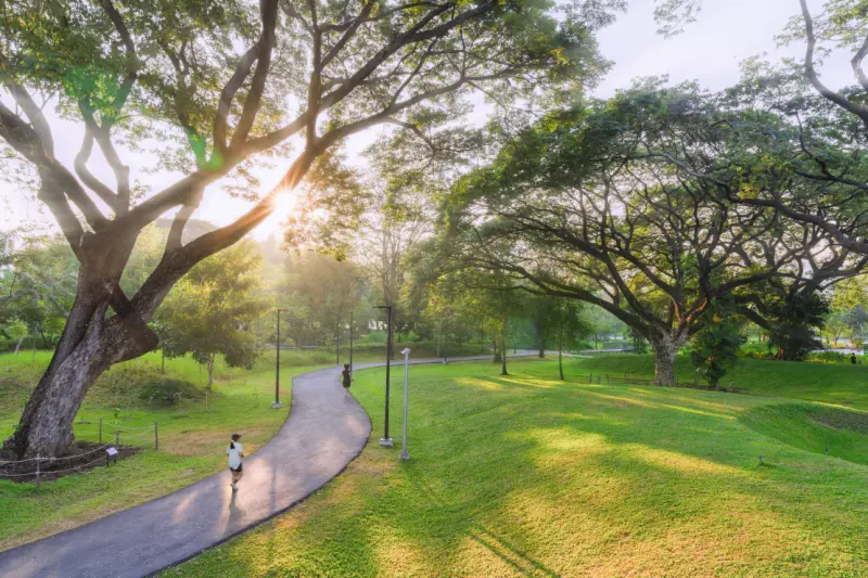 Scenic pathway in a tranquil urban park