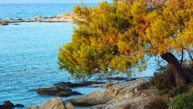 Fethiye Sonbaharda Deniz